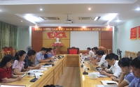 Đoàn chuyên gia ADB làm việc với Hà Tĩnh